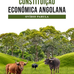 A Evolução da Constituição Económica Angolana (2ª edição)